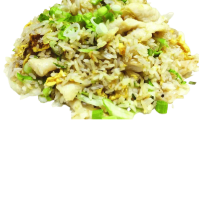 400. Chicken & Salty Fish Fried Rice